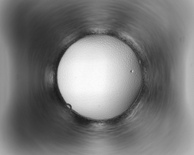 X0000093500071200711021017