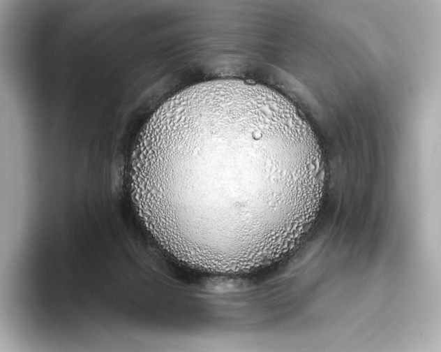 X0000093500073200711021017