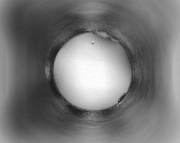 X0000093500074200711021017