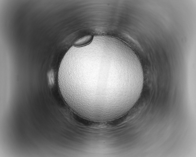 X0000093500075200711021017