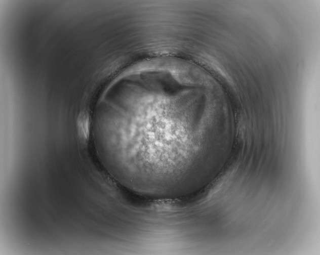 X0000093500076200711021017