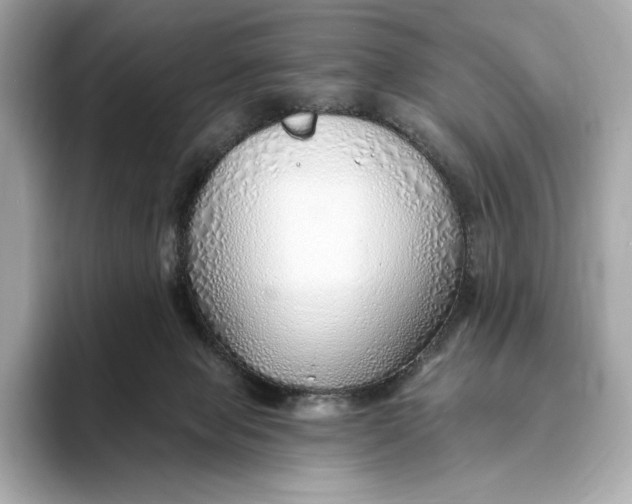 X0000093500077200711021017