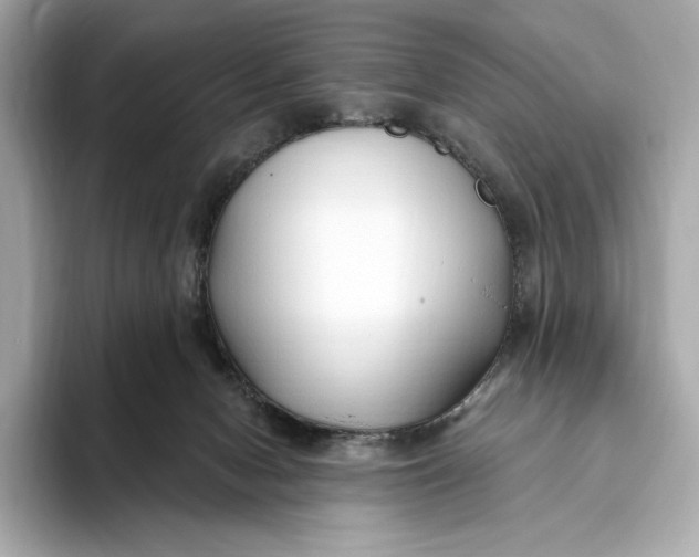 X0000093500078200711021017