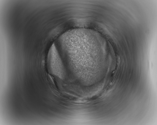 X0000093500080200711021017
