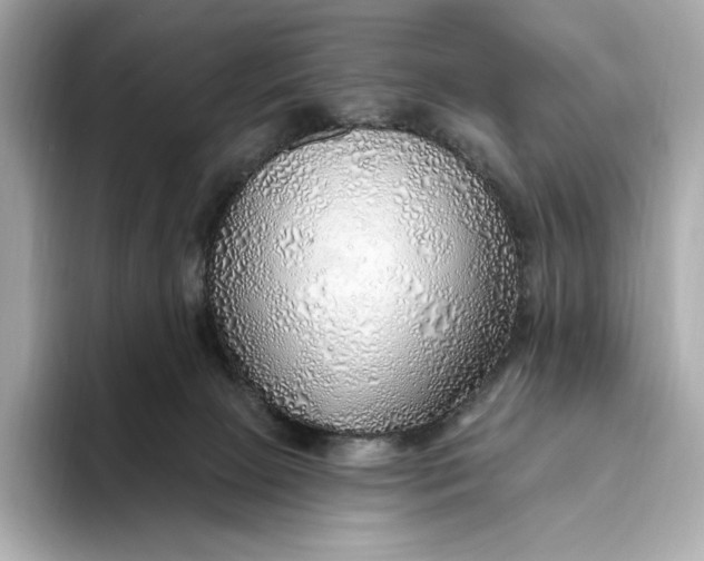 X0000093500081200711021017