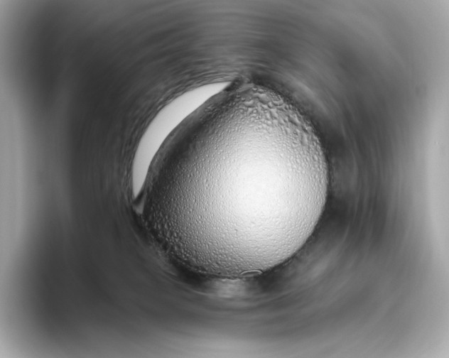 X0000093500085200711021017