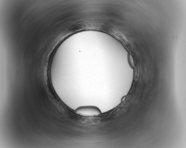 X0000093500098200711021017