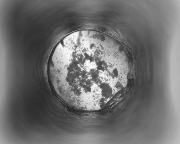 X0000093500099200711021017