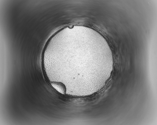 X0000093500100200711021017