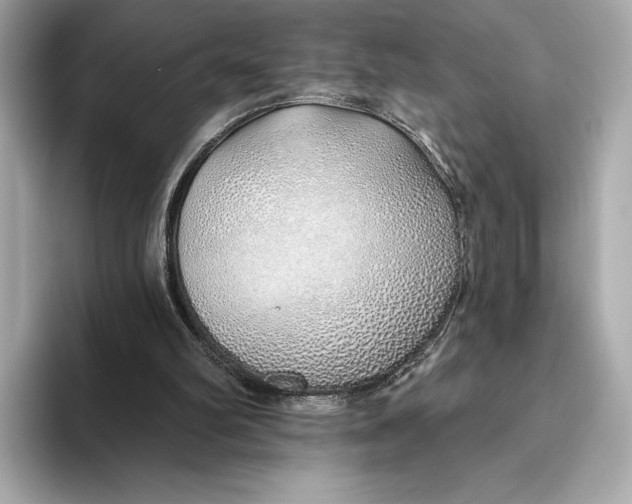 X0000093500102200711021017