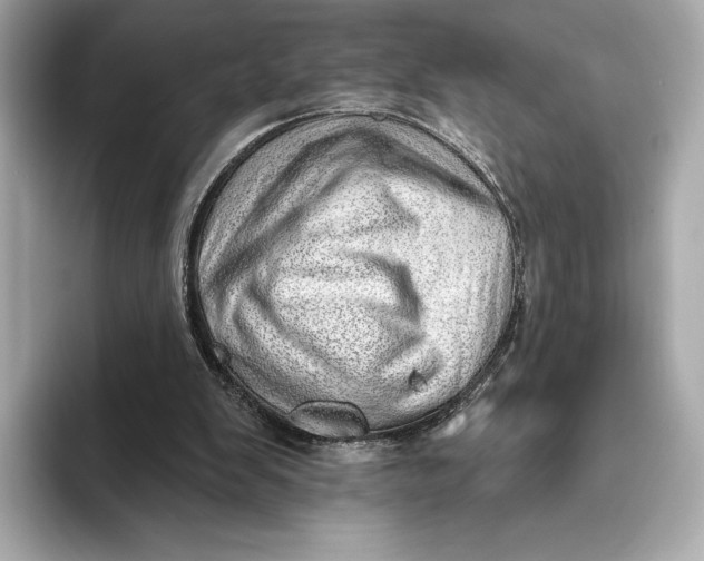 X0000093500103200711021017