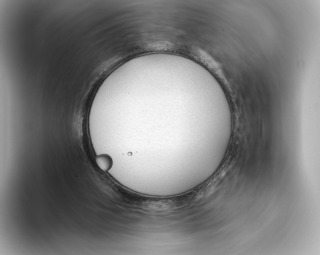X0000093500106200711021017