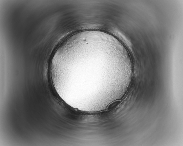X0000093500107200711021017