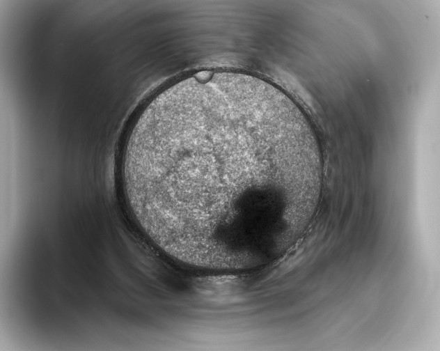 X0000093500108200711021017