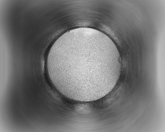X0000093500110200711021017