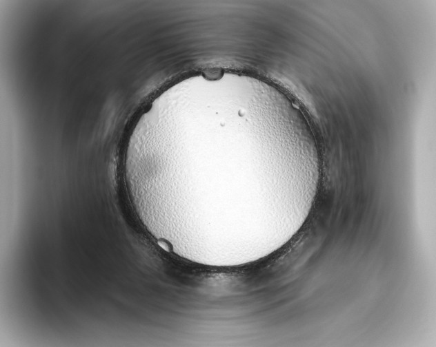 X0000093500111200711021017