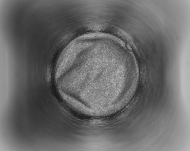 X0000093500114200711021017