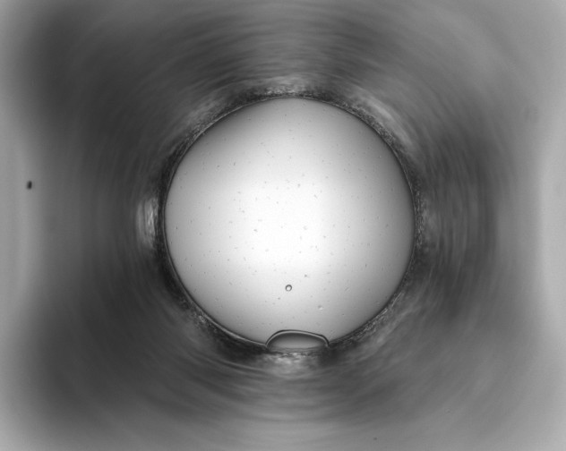 X0000093500118200711021017