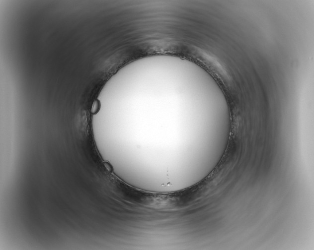 X0000093500121200711021017
