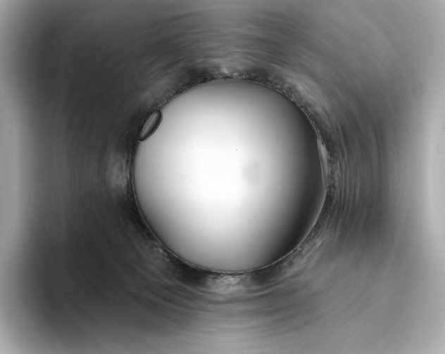 X0000093500129200711021016
