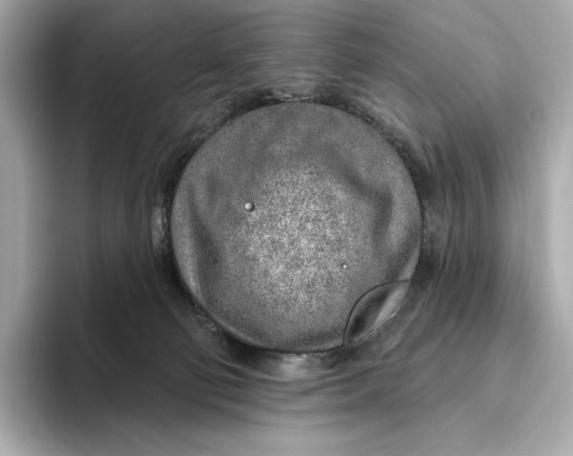 X0000093500130200711021016