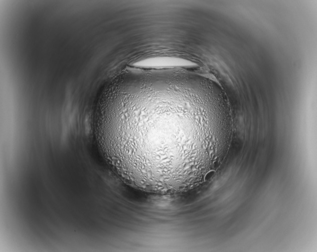 X0000093500131200711021016