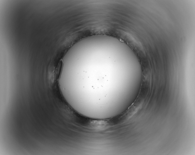 X0000093500133200711021016