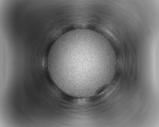 X0000093500134200711021016
