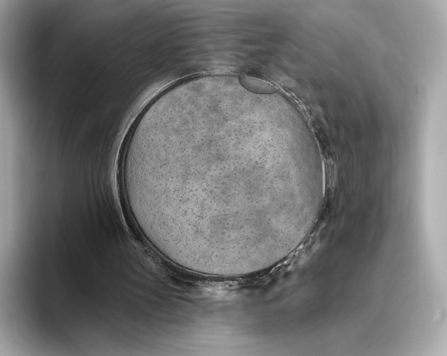 X0000093500147200711021016