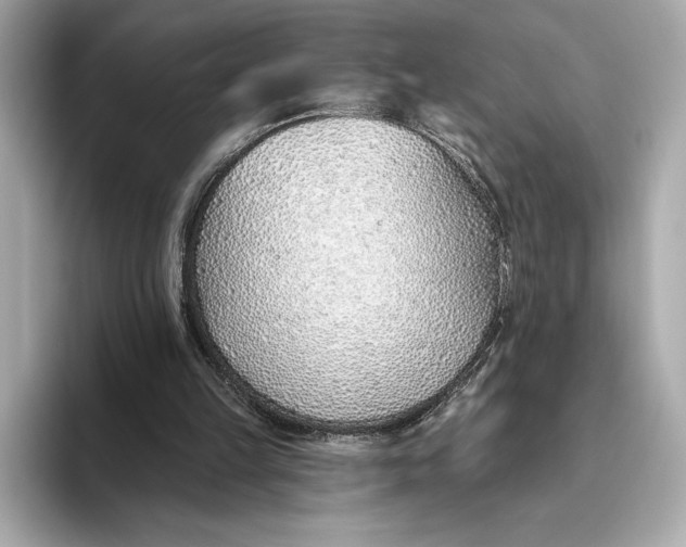 X0000093500149200711021016