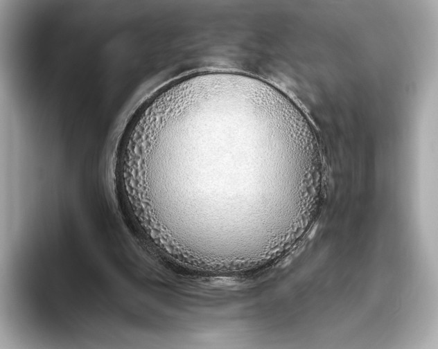 X0000093500151200711021016