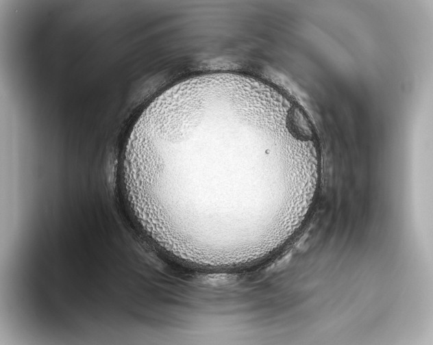 X0000093500153200711021016