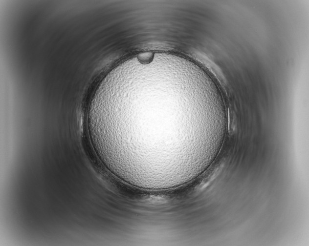 X0000093500157200711021016