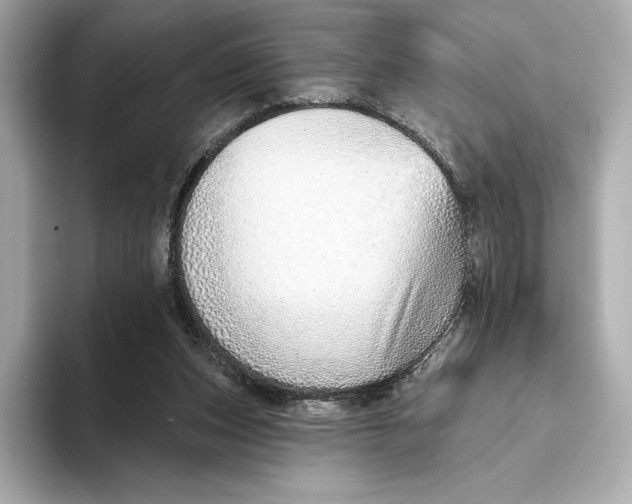 X0000093500159200711021016
