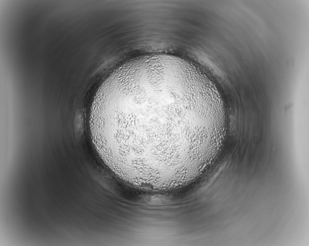X0000093500165200711021016
