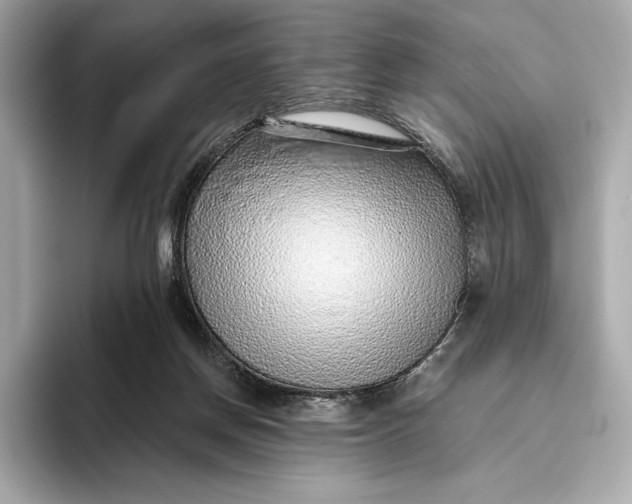 X0000093500166200711021016
