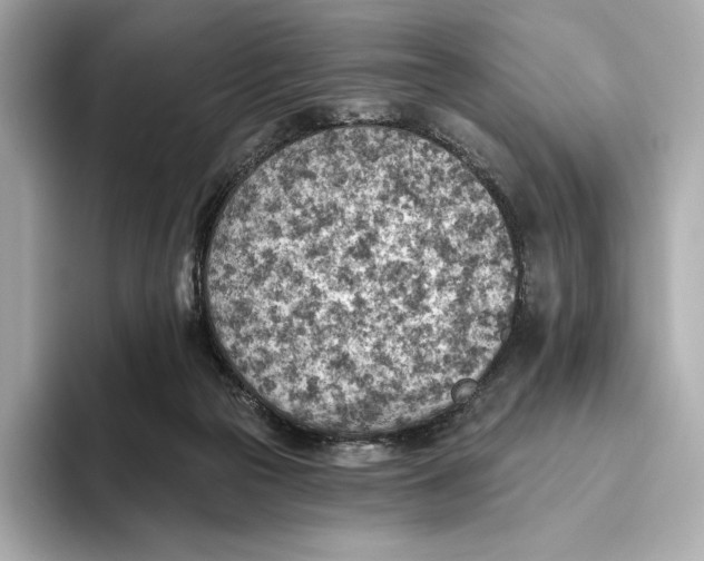 X0000093500169200711021016
