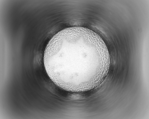 X0000093500171200711021016