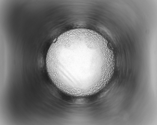 X0000093500173200711021016