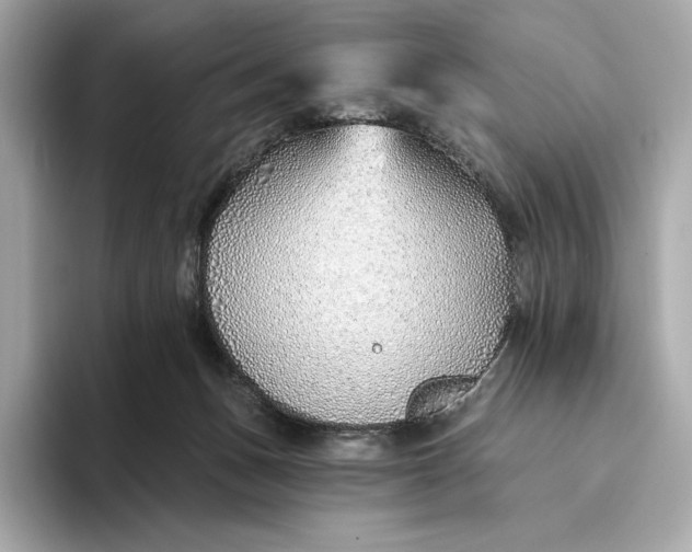 X0000093500175200711021016