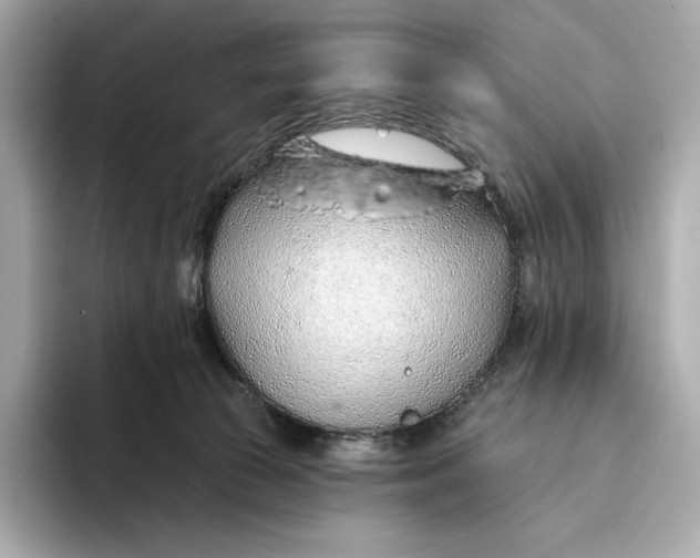 X0000093500177200711021016
