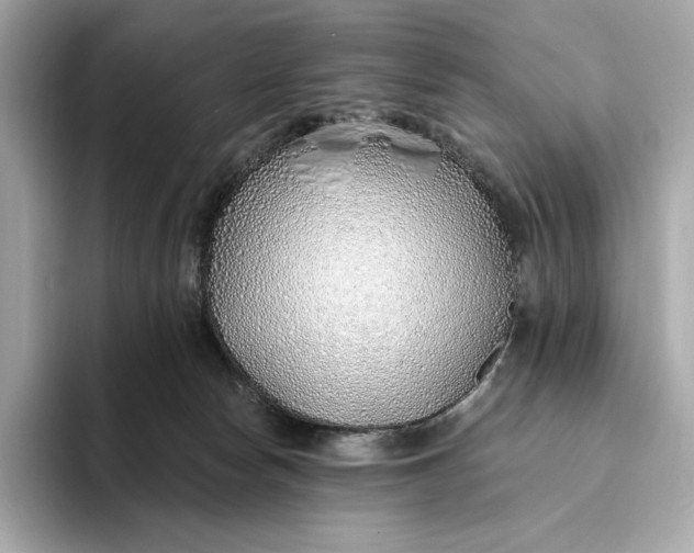 X0000093500178200711021016