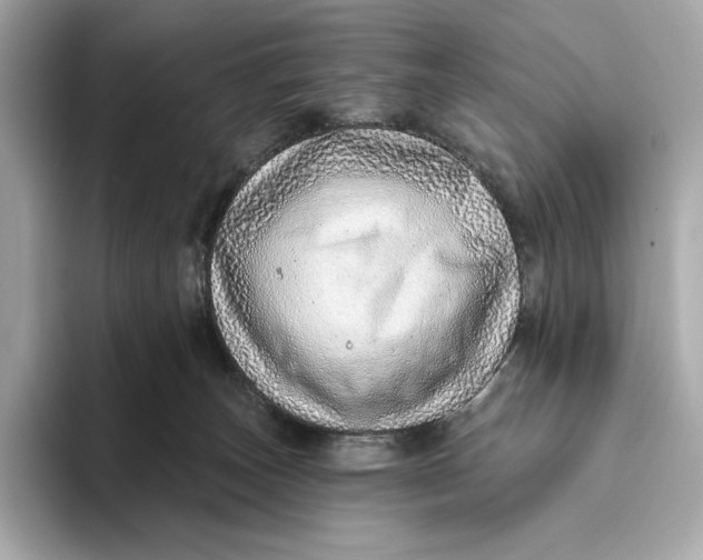 X0000093500179200711021016