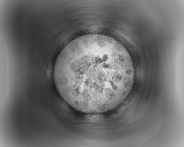 X0000093500181200711021016