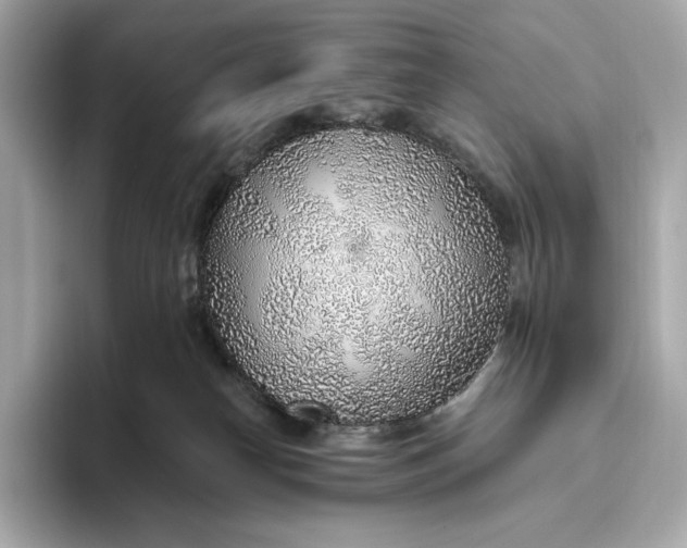 X0000093500182200711021016