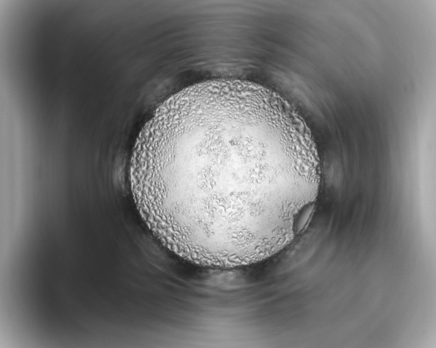 X0000093500185200711021016
