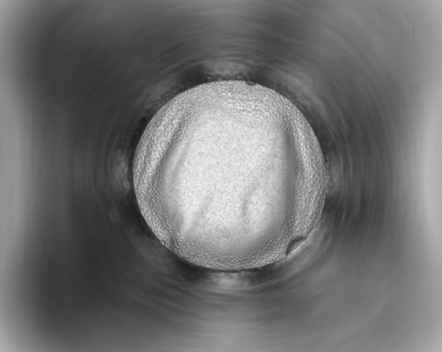X0000093500187200711021016