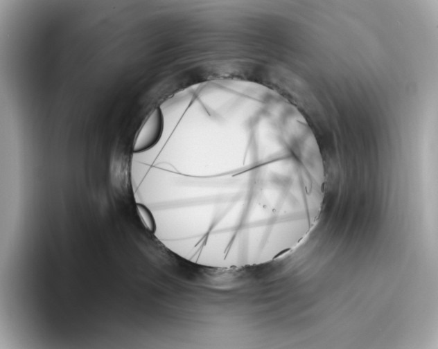 X0000093500191200711021016