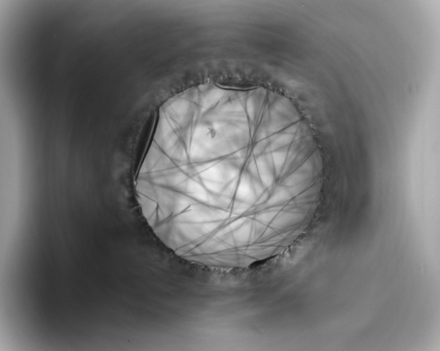 X0000093500192200711021016