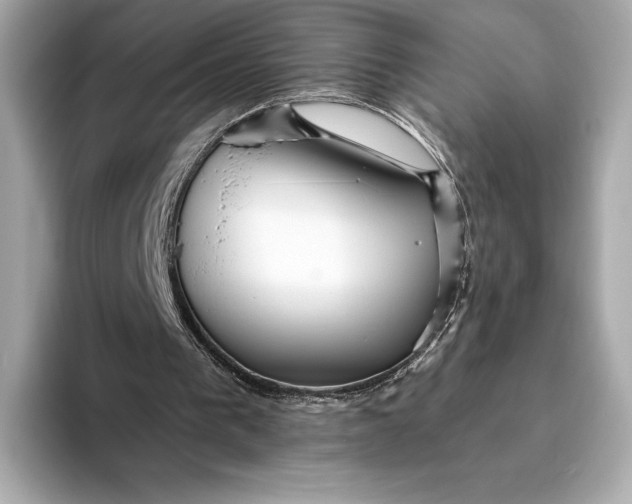X0000093500193200711021016